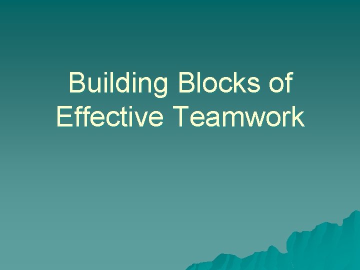 Building Blocks of Effective Teamwork 