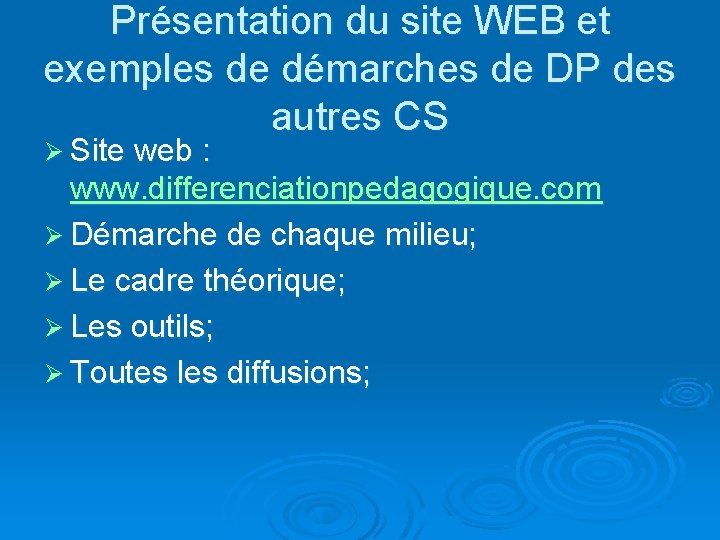 Présentation du site WEB et exemples de démarches de DP des autres CS Ø