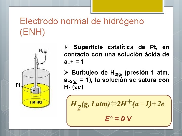 Electrodo normal de hidrógeno (ENH) Ø Superficie catalítica de Pt, en contacto con una