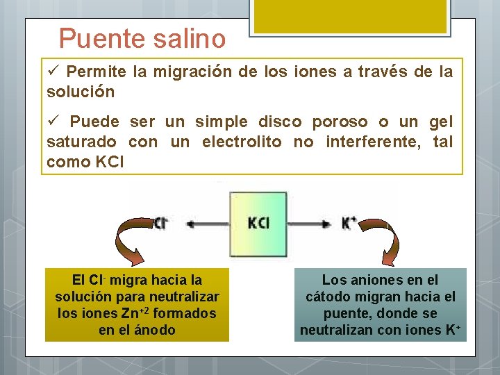Puente salino ü Permite la migración de los iones a través de la solución