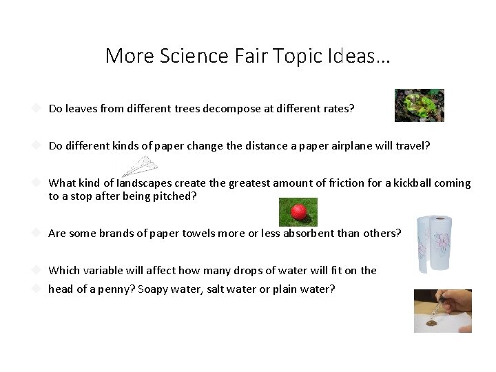 More Science Fair Topic Ideas… Do leaves from different trees decompose at different rates?