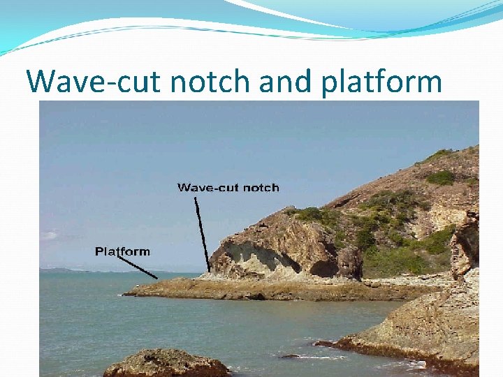 Wave-cut notch and platform 