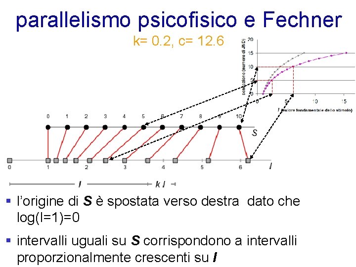 parallelismo psicofisico e Fechner k= 0. 2, c= 12. 6 § l’origine di S