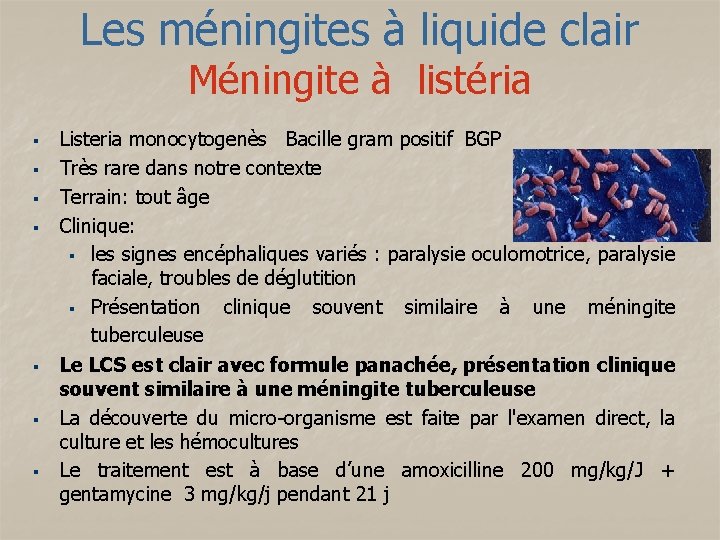 Les méningites à liquide clair Méningite à listéria § § § § Listeria monocytogenès