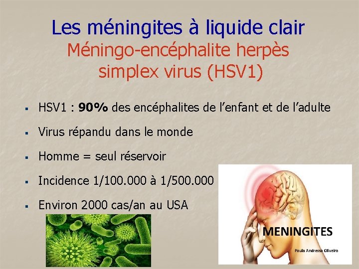 Les méningites à liquide clair Méningo-encéphalite herpès simplex virus (HSV 1) § HSV 1
