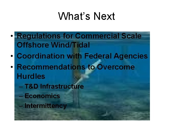 What’s Next • Regulations for Commercial Scale Offshore Wind/Tidal • Coordination with Federal Agencies