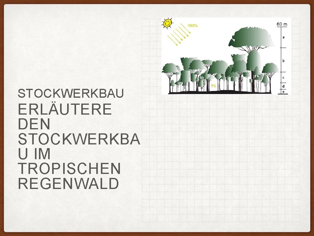 STOCKWERKBAU ERLÄUTERE DEN STOCKWERKBA U IM TROPISCHEN REGENWALD 