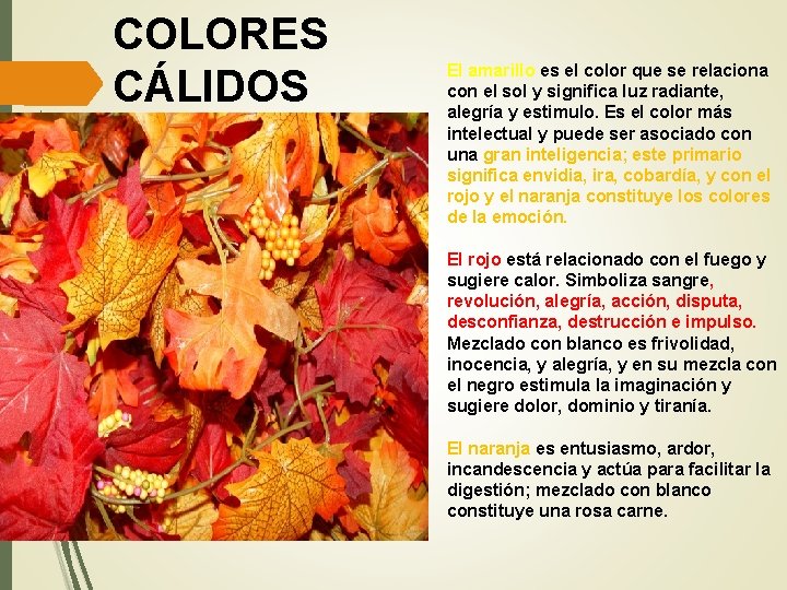 COLORES CÁLIDOS El amarillo es el color que se relaciona con el sol y