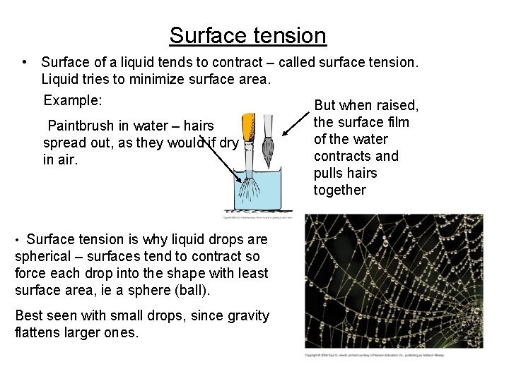 Surface tension • Surface of a liquid tends to contract – called surface tension.