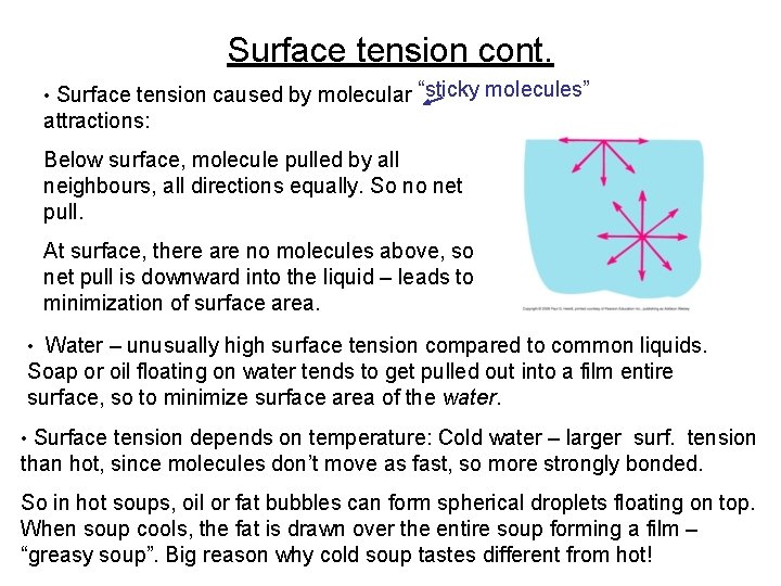 Surface tension cont. • Surface tension caused by molecular “sticky molecules” attractions: Below surface,