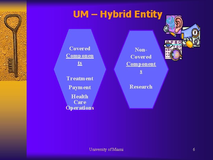 UM – Hybrid Entity Covered Componen ts Treatment Payment Non. Covered Component s Research