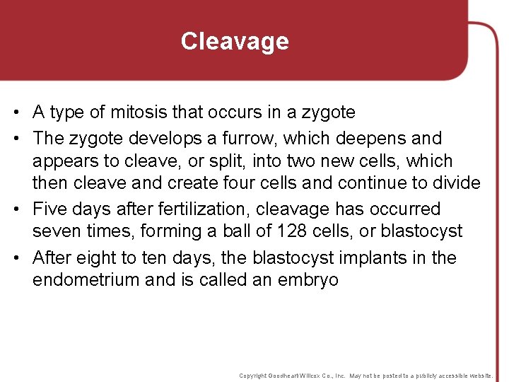 Cleavage • A type of mitosis that occurs in a zygote • The zygote