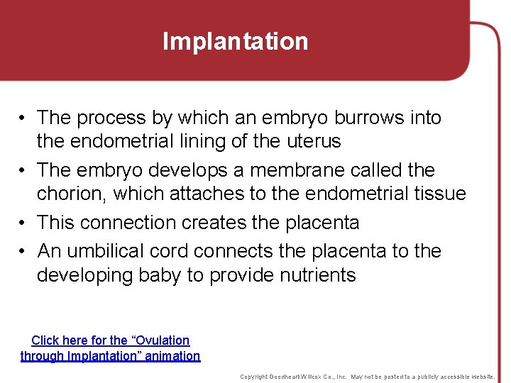 Implantation • The process by which an embryo burrows into the endometrial lining of