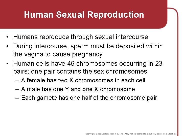 Human Sexual Reproduction • Humans reproduce through sexual intercourse • During intercourse, sperm must