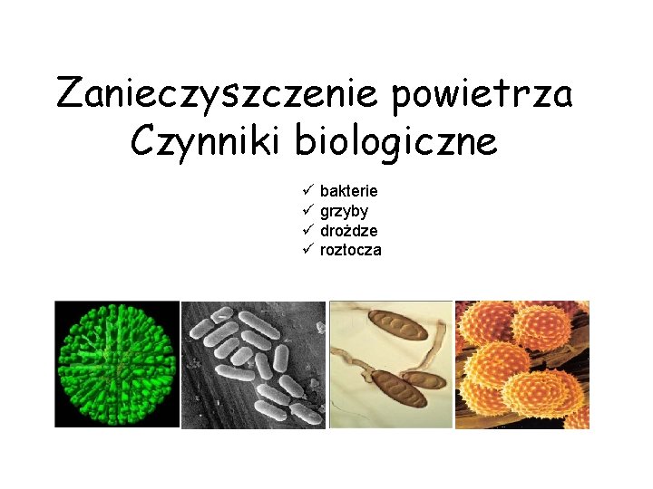 Zanieczyszczenie powietrza Czynniki biologiczne ü bakterie ü grzyby ü drożdze ü roztocza 