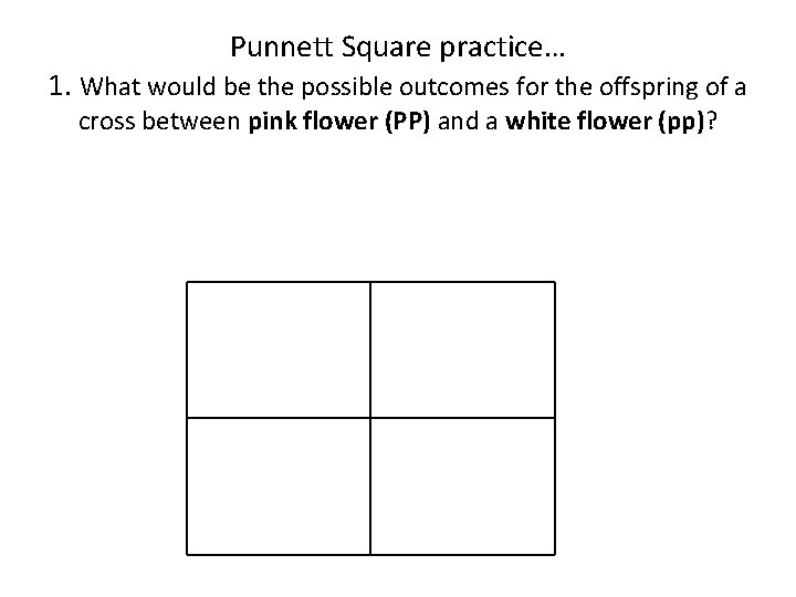 Punnett Square practice… 1. What would be the possible outcomes for the offspring of