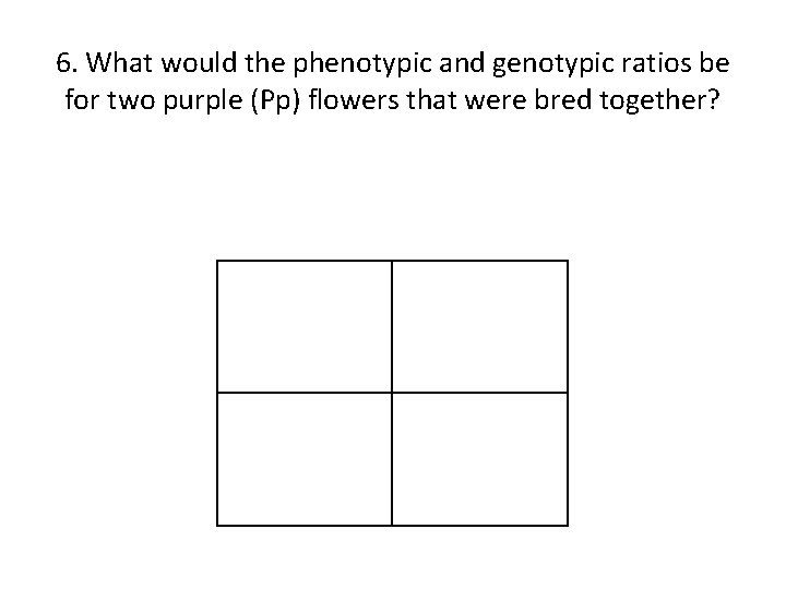 6. What would the phenotypic and genotypic ratios be for two purple (Pp) flowers