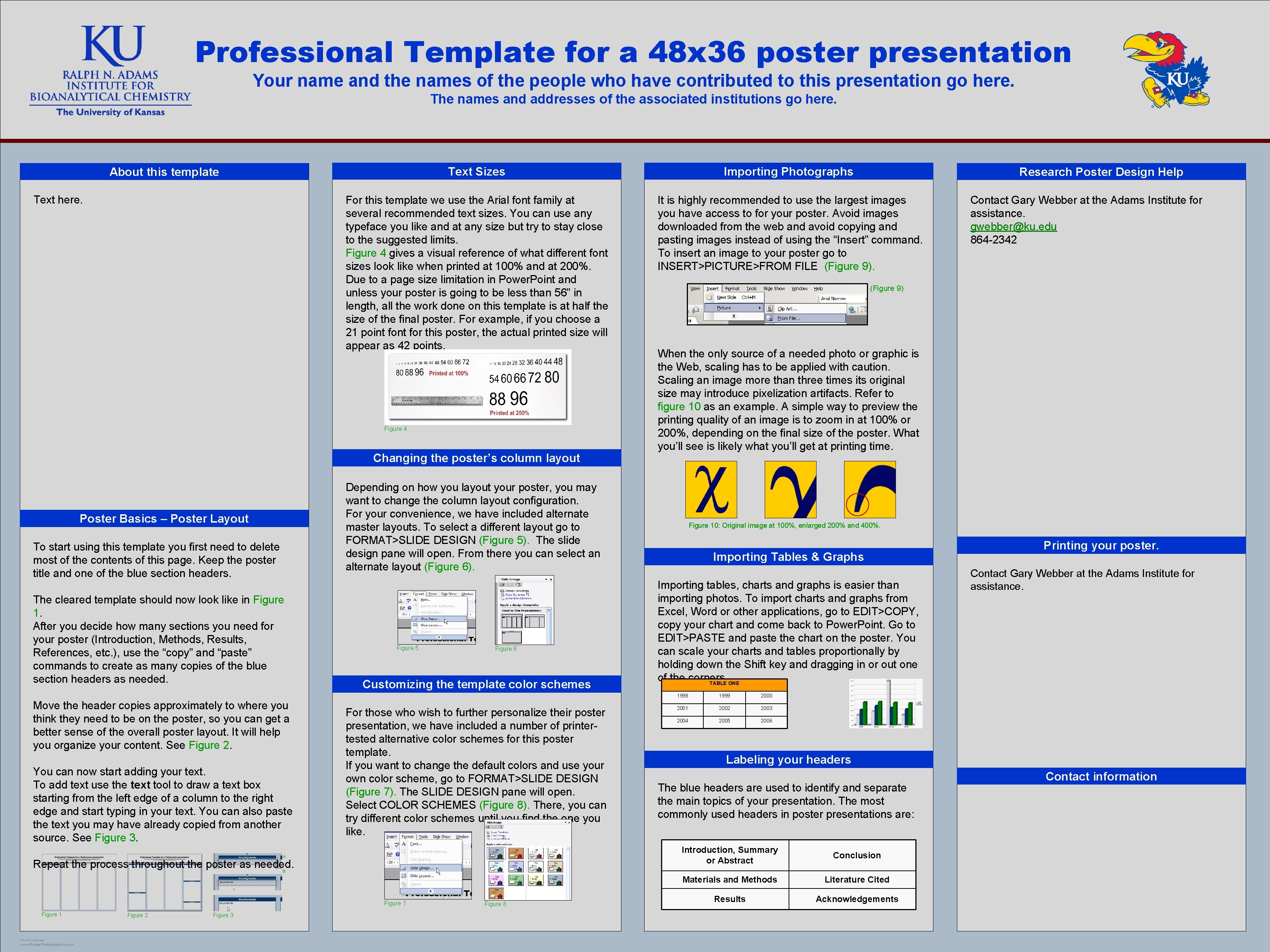 Professional Template for a 48 x 36 poster presentation Your name and the names