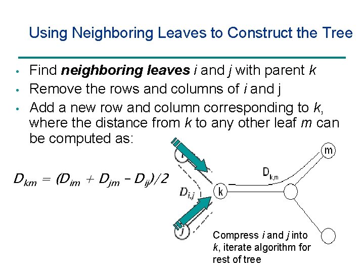 Using Neighboring Leaves to Construct the Tree • • • Find neighboring leaves i