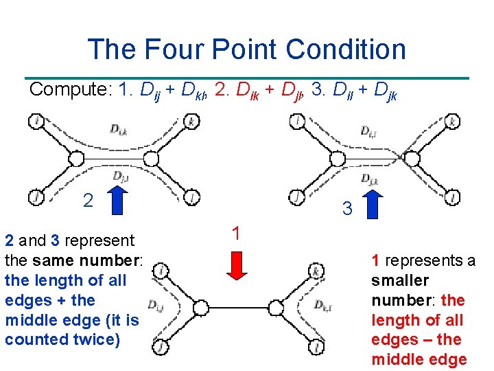 The Four Point Condition Compute: 1. Dij + Dkl, 2. Dik + Djl, 3.