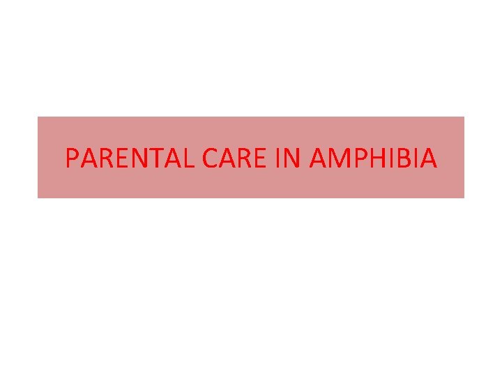 PARENTAL CARE IN AMPHIBIA 