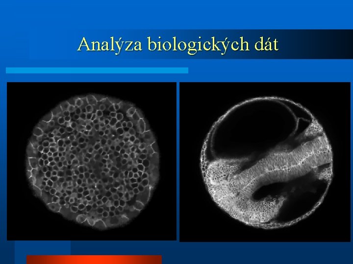 Analýza biologických dát 