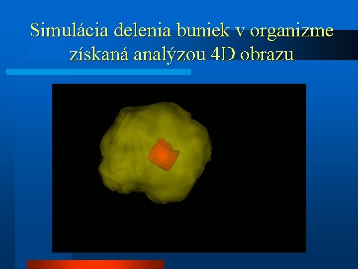 Simulácia delenia buniek v organizme získaná analýzou 4 D obrazu 