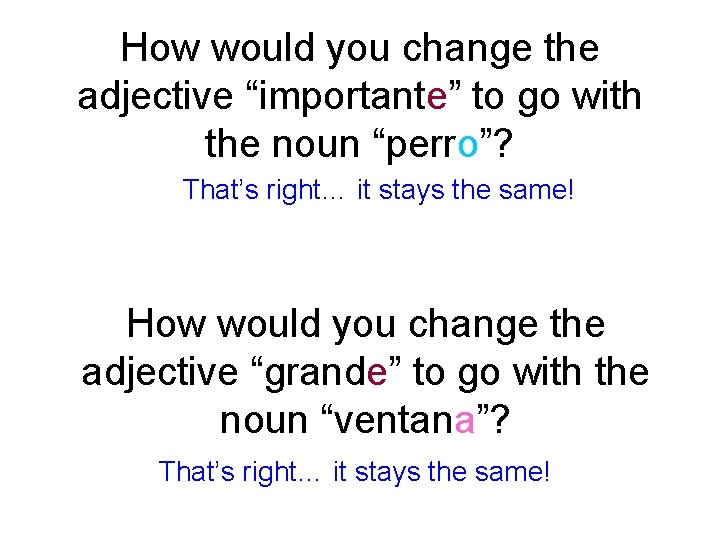 How would you change the adjective “importante” to go with the noun “perro”? That’s