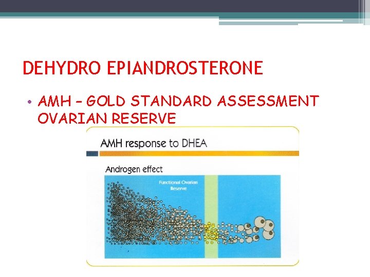 DEHYDRO EPIANDROSTERONE (DHEA) • AMH – GOLD STANDARD ASSESSMENT OVARIAN RESERVE 