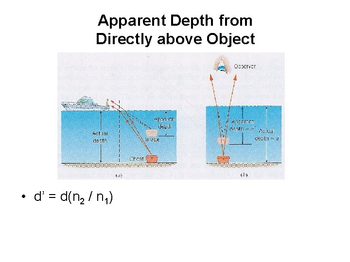 Apparent Depth from Directly above Object • d’ = d(n 2 / n 1)