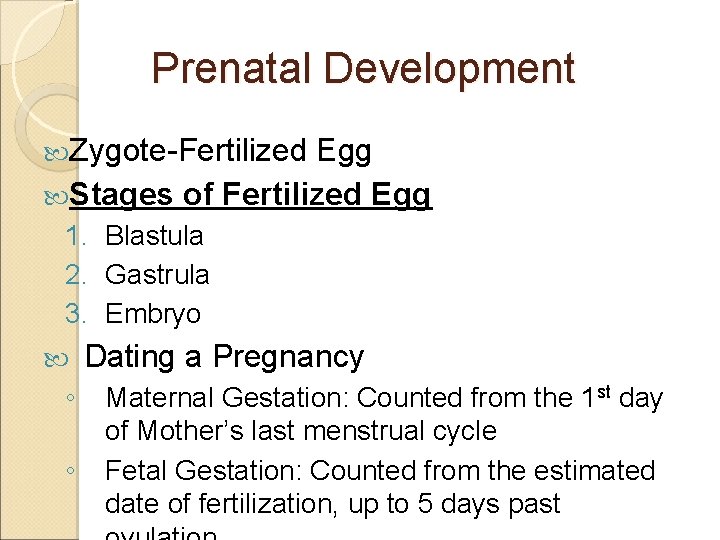 Prenatal Development Zygote-Fertilized Egg Stages of Fertilized Egg 1. Blastula 2. Gastrula 3. Embryo