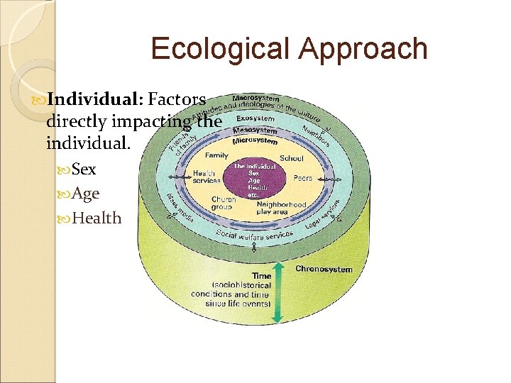 Ecological Approach Individual: Factors directly impacting the individual. Sex Age Health 