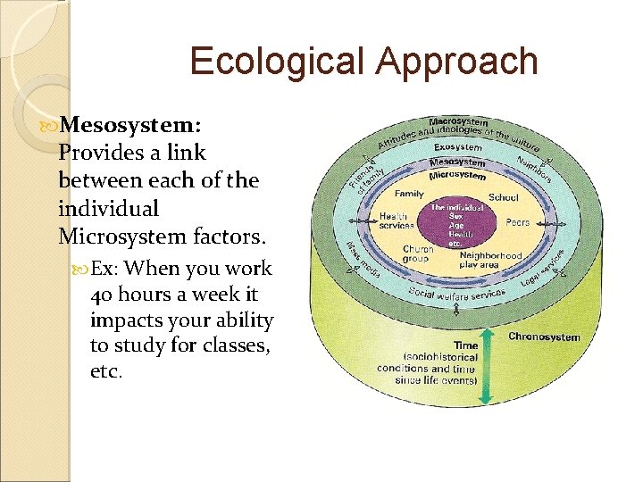 Ecological Approach Mesosystem: Provides a link between each of the individual Microsystem factors. Ex:
