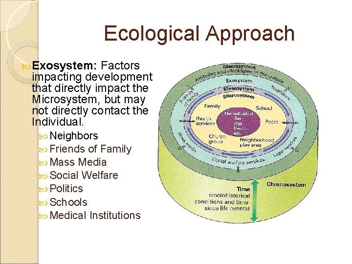 Ecological Approach Exosystem: Factors impacting development that directly impact the Microsystem, but may not