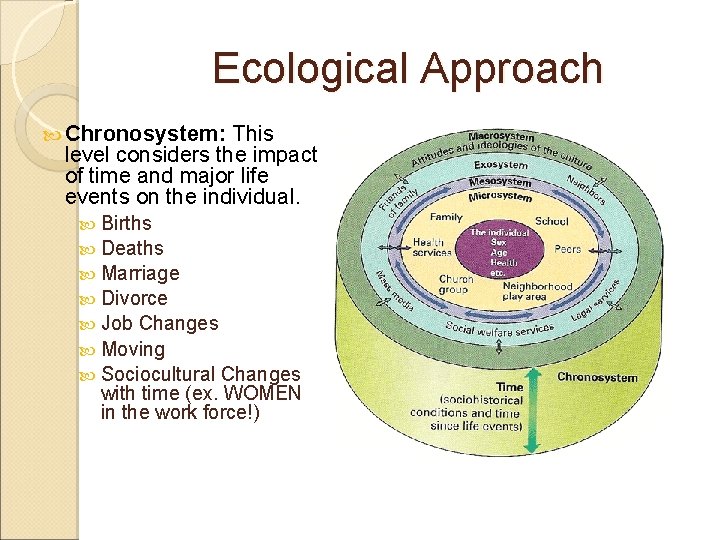 Ecological Approach Chronosystem: This level considers the impact of time and major life events