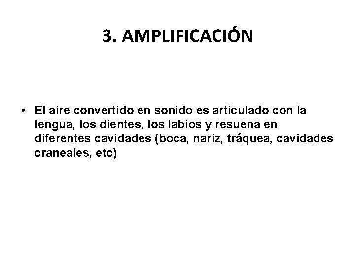 3. AMPLIFICACIÓN • El aire convertido en sonido es articulado con la lengua, los