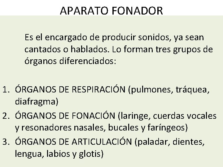 APARATO FONADOR Es el encargado de producir sonidos, ya sean cantados o hablados. Lo