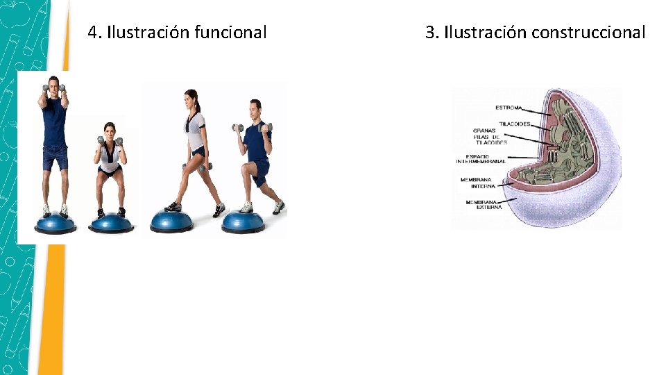 4. Ilustración funcional 3. Ilustración construccional 