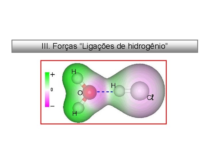 III. Forças “Ligações de hidrogênio” 