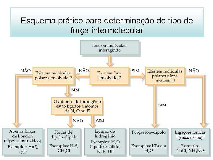 Esquema prático para determinação do tipo de força intermolecular 