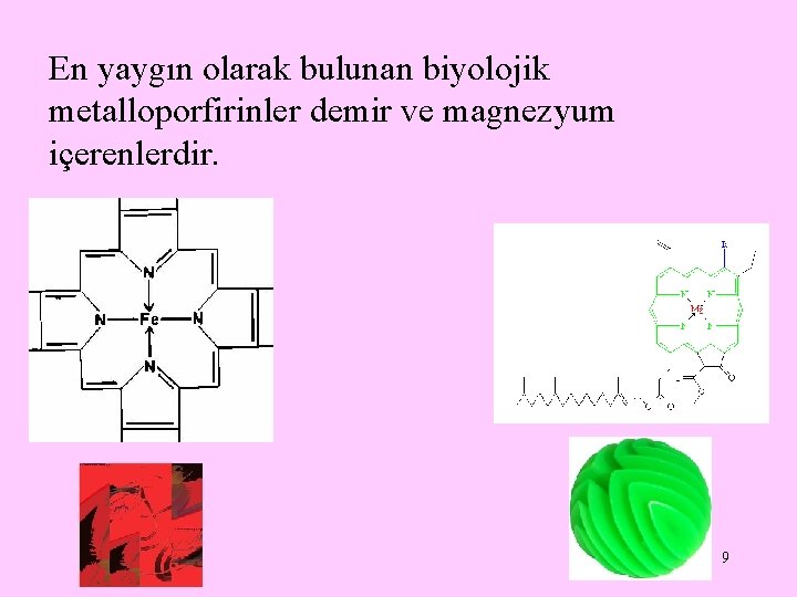 En yaygın olarak bulunan biyolojik metalloporfirinler demir ve magnezyum içerenlerdir. 9 