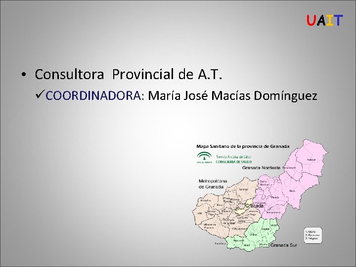 UAIT • Consultora Provincial de A. T. üCOORDINADORA: María José Macías Domínguez 