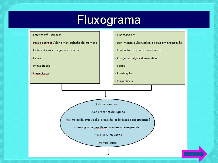 Fluxograma 