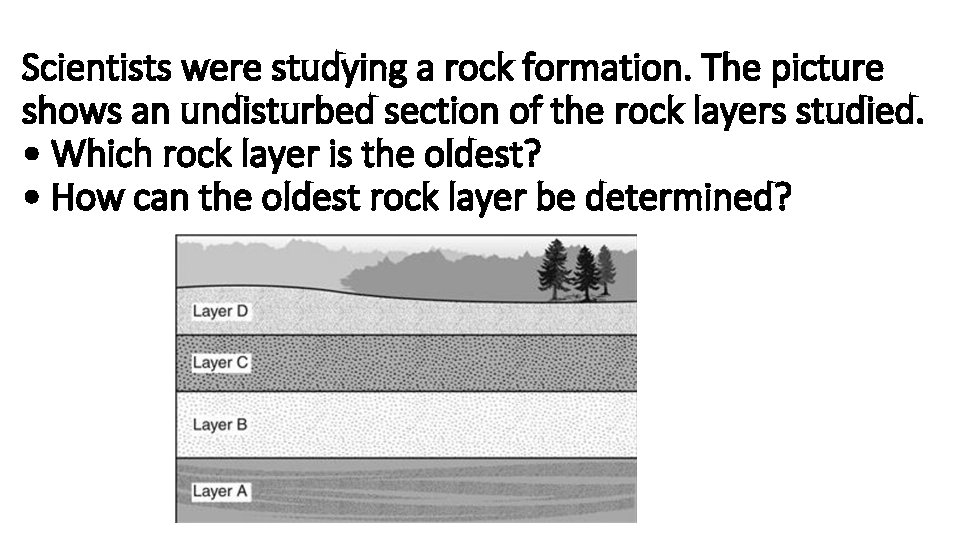 Scientists were studying a rock formation. The picture shows an undisturbed section of the