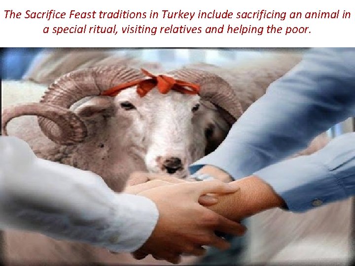 The Sacrifice Feast traditions in Turkey include sacrificing an animal in a special ritual,