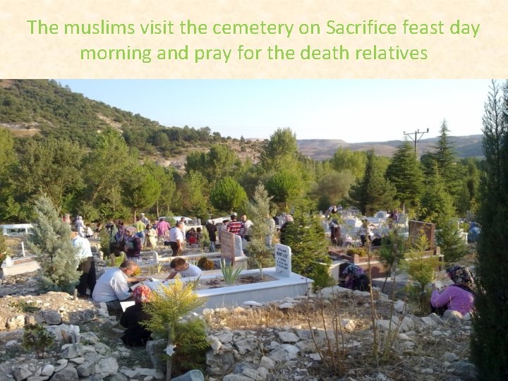 The muslims visit the cemetery on Sacrifice feast day morning and pray for the