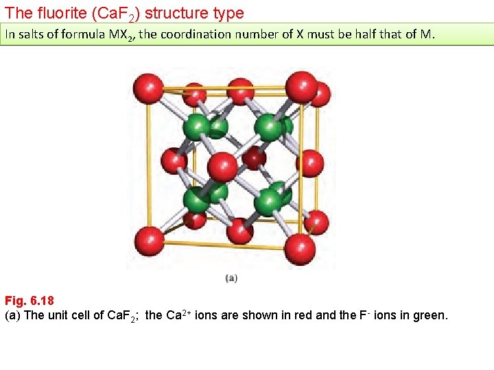 The fluorite (Ca. F 2) structure type In salts of formula MX 2, the