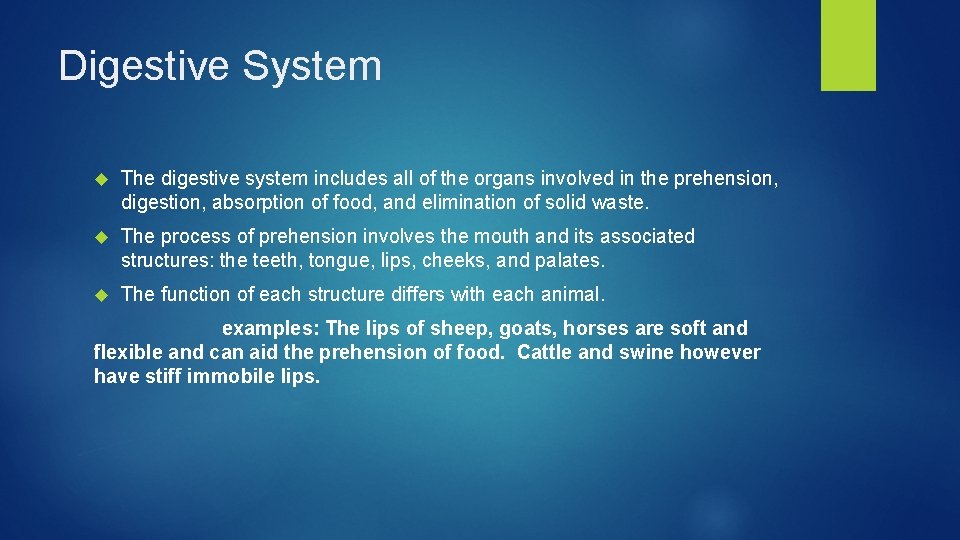 Digestive System The digestive system includes all of the organs involved in the prehension,