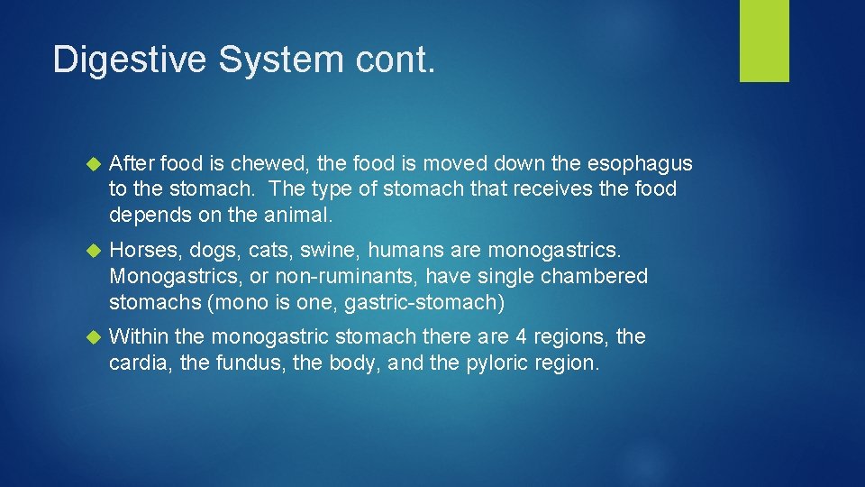 Digestive System cont. After food is chewed, the food is moved down the esophagus