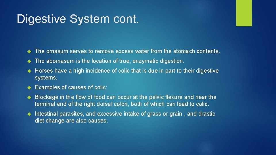 Digestive System cont. The omasum serves to remove excess water from the stomach contents.